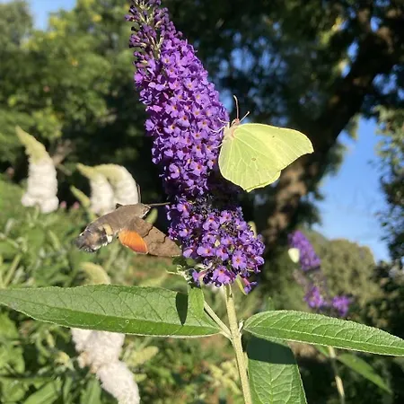Vyhlídka Platoř Casa de Férias