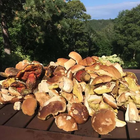 Vyhlídka Platoř Casa de Férias